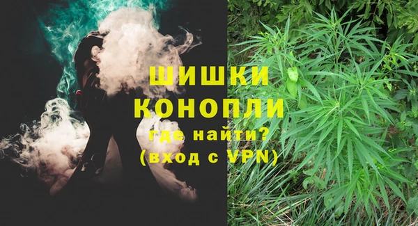 дживик Грязовец
