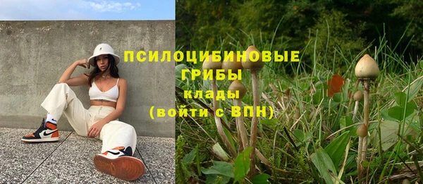винт Гатчина