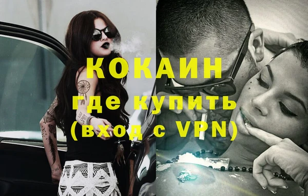 винт Гатчина