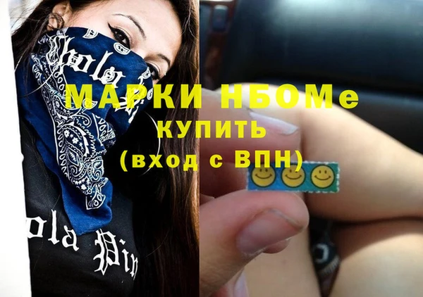 прущие грибы Гвардейск