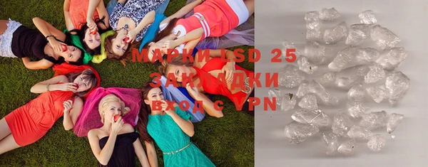 прущие грибы Гвардейск