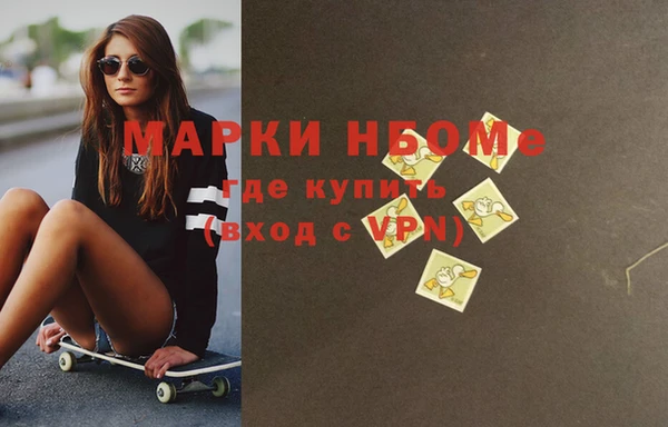 прущие грибы Гвардейск
